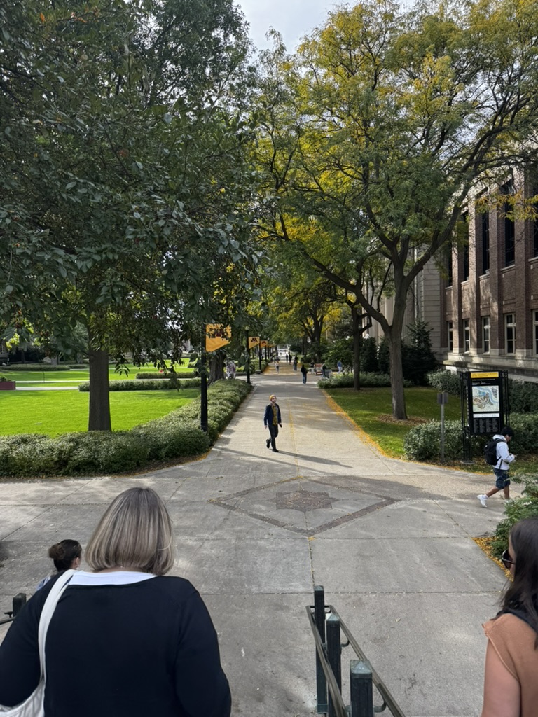 A tree-lined walkway across the University of Minnesota campus on a fall afternoon
